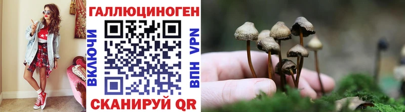 Галлюциногенные грибы GOLDEN TEACHER Невель